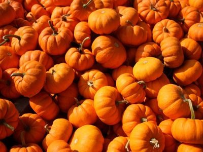 Calabaza