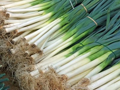 Leek